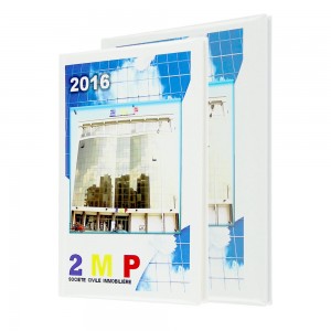 2MP diaries - Agenda Afrique, manufacturer advertising diaries